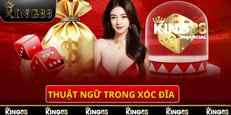 Một số thuật ngữ trong xóc đĩa thường sử dụng